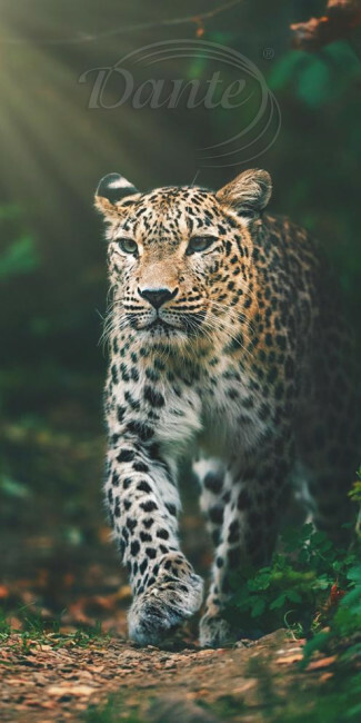 Osuška Gepard - O331417hl