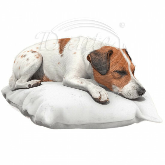 Nažehlovačka Jack Russel na vankúši - NAŽ202/hl