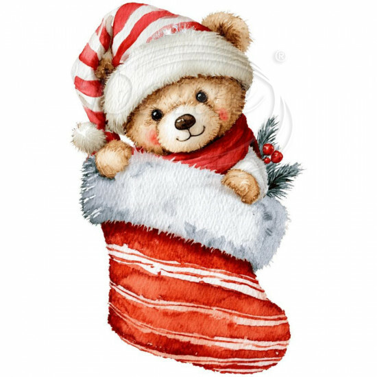 Nažehlovačka Macko v ponožke - NAŽ649/hl