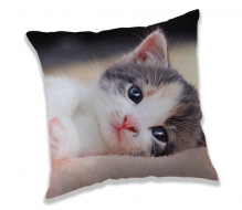 Obliečka na vankúšik Kitten