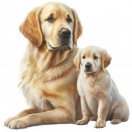 Nažehlovačka Zlatý retriever a šteňa