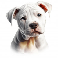 Nažehlovačka Pitbull šteňa biele