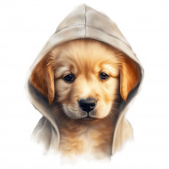Nažehlovačka Zlatý retriever šteňa s kapucňou