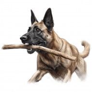 Nažehlovačka Belgický malinois s klackom