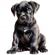 Nažehlovačka Cane Corso šteňa