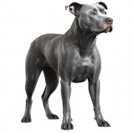 Nažehlovačka Pitbull sivý