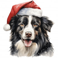 Nažehlovačka Border kólia s vianočnou čiapkou